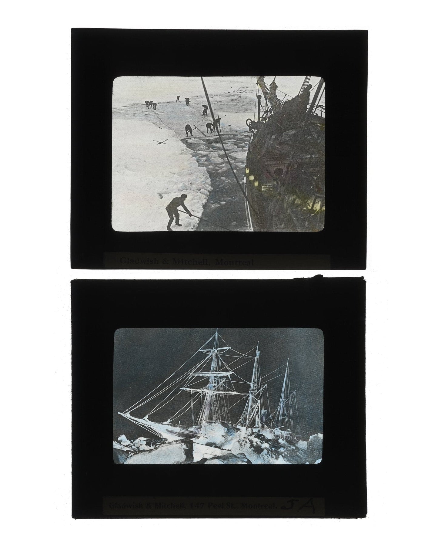 Shackleton Collector's Edition