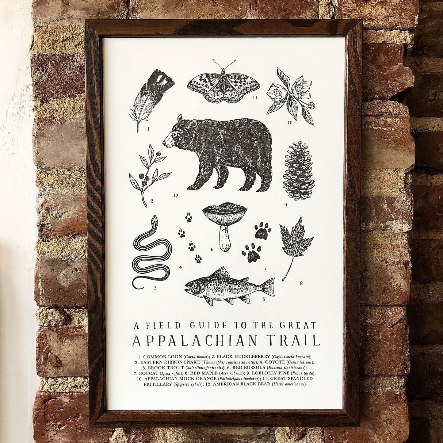 Appalachian Trail Field Guide Letterpress Print