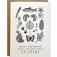 Colorado Field Guide Greeting Card