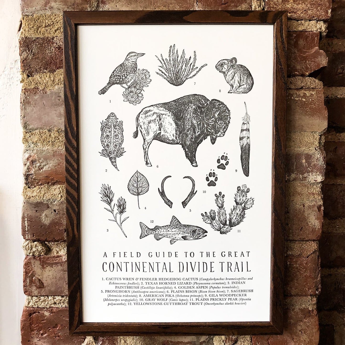 Continental Divide Trail Field Guide Letterpress Print