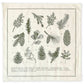 Evergreens of North America Bandana