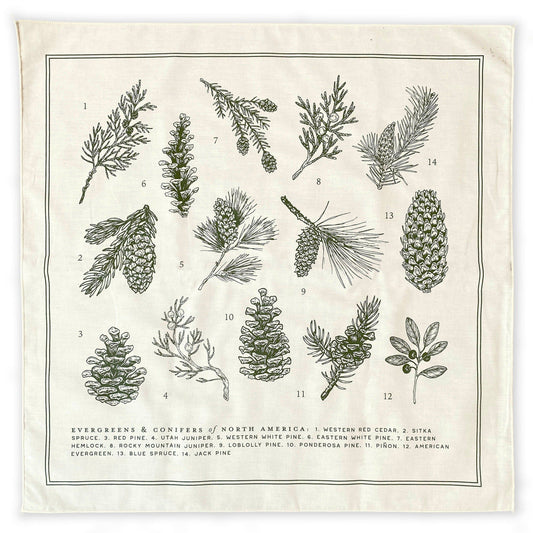 Evergreens of North America Bandana
