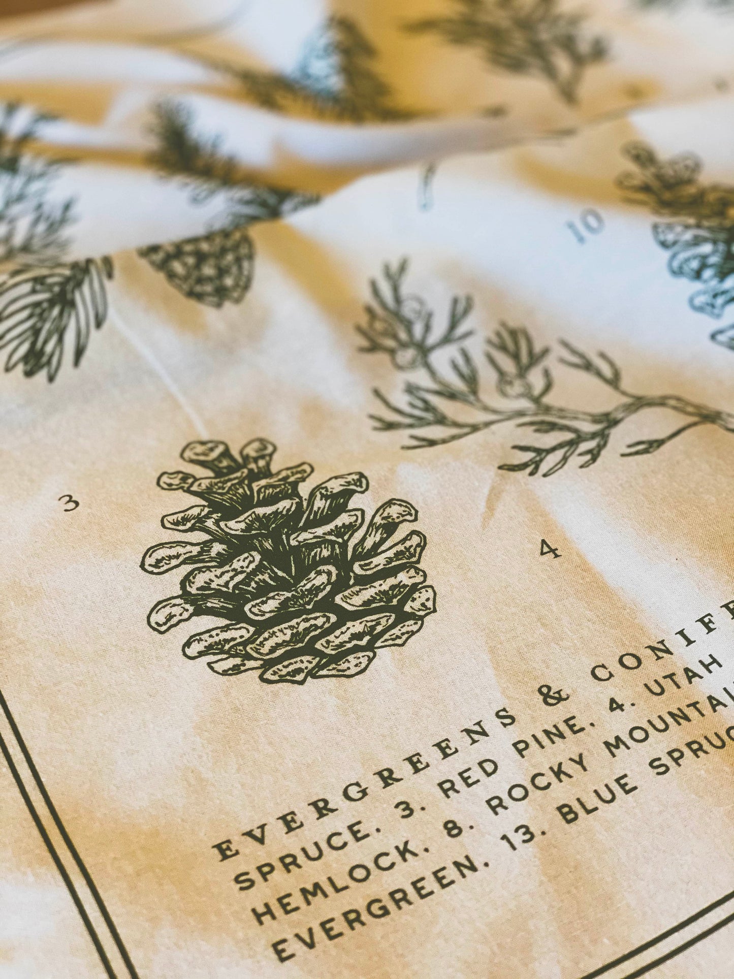 Evergreens of North America Bandana