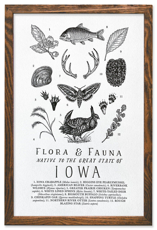 Iowa Field Guide Letterpress Print