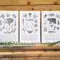Pick any Three Field Guides