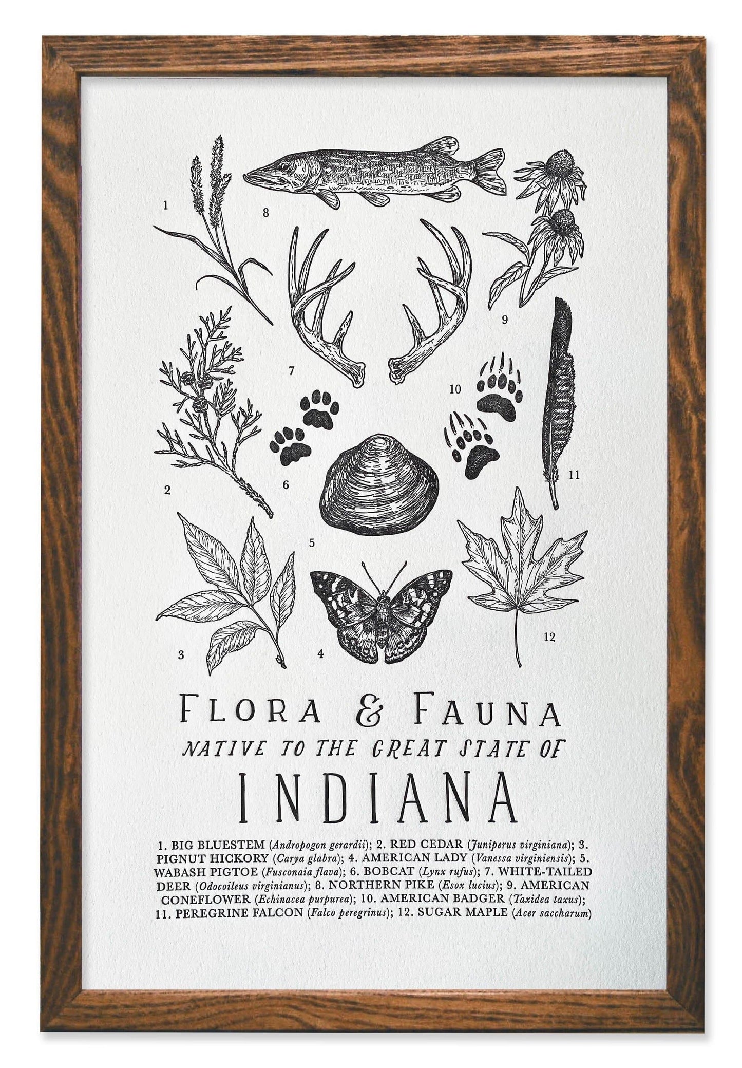 Indiana Field Guide Letterpress Print