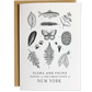 New York Field Guide Greeting Card