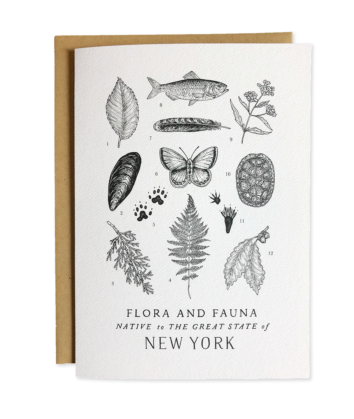 New York Field Guide Greeting Card