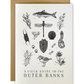 Outer Banks Field Guide Greeting Card