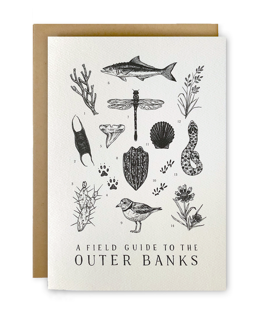 Outer Banks Field Guide Greeting Card