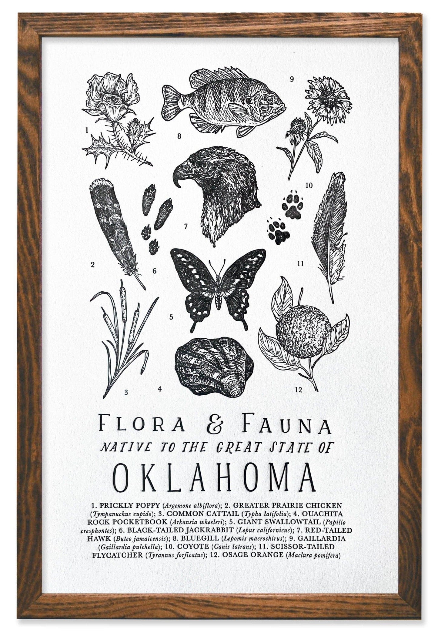 Oklahoma Field Guide Letterpress Print