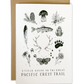 Pacific Crest Trail Field Guide Greeting Card
