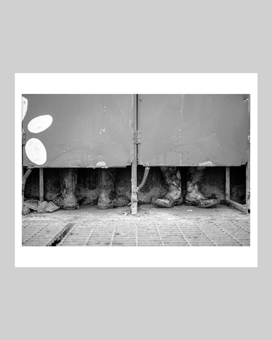 “Load Outâ€?- Glastonbury, 2011