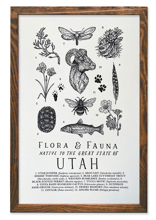 Utah Field Guide Letterpress Print