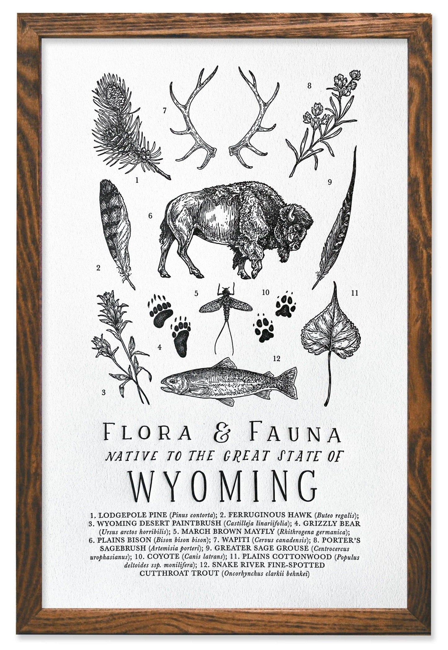 Wyoming Field Guide Letterpress Print