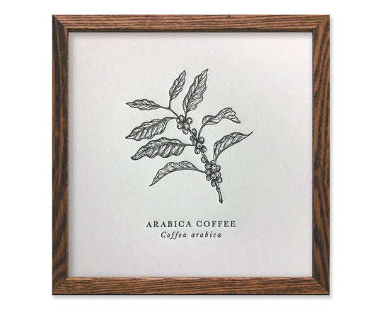 Arabica Coffee Letterpress Print