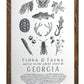 Georgia Field Guide Letterpress Print