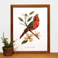 Cardinal and Dogwood 11x14 Print