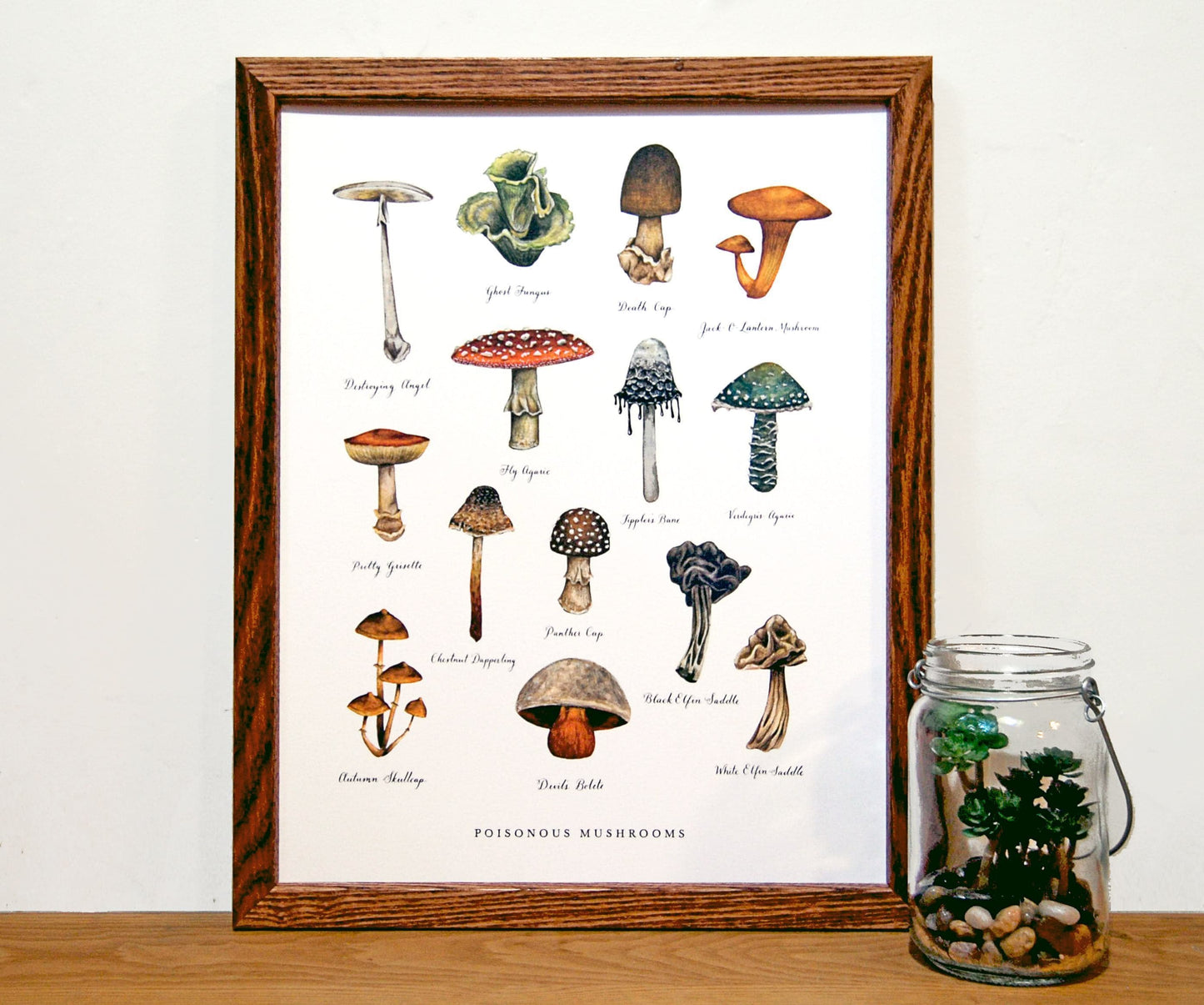 Poisonous Mushrooms Chart