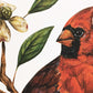 Cardinal and Dogwood 11x14 Print