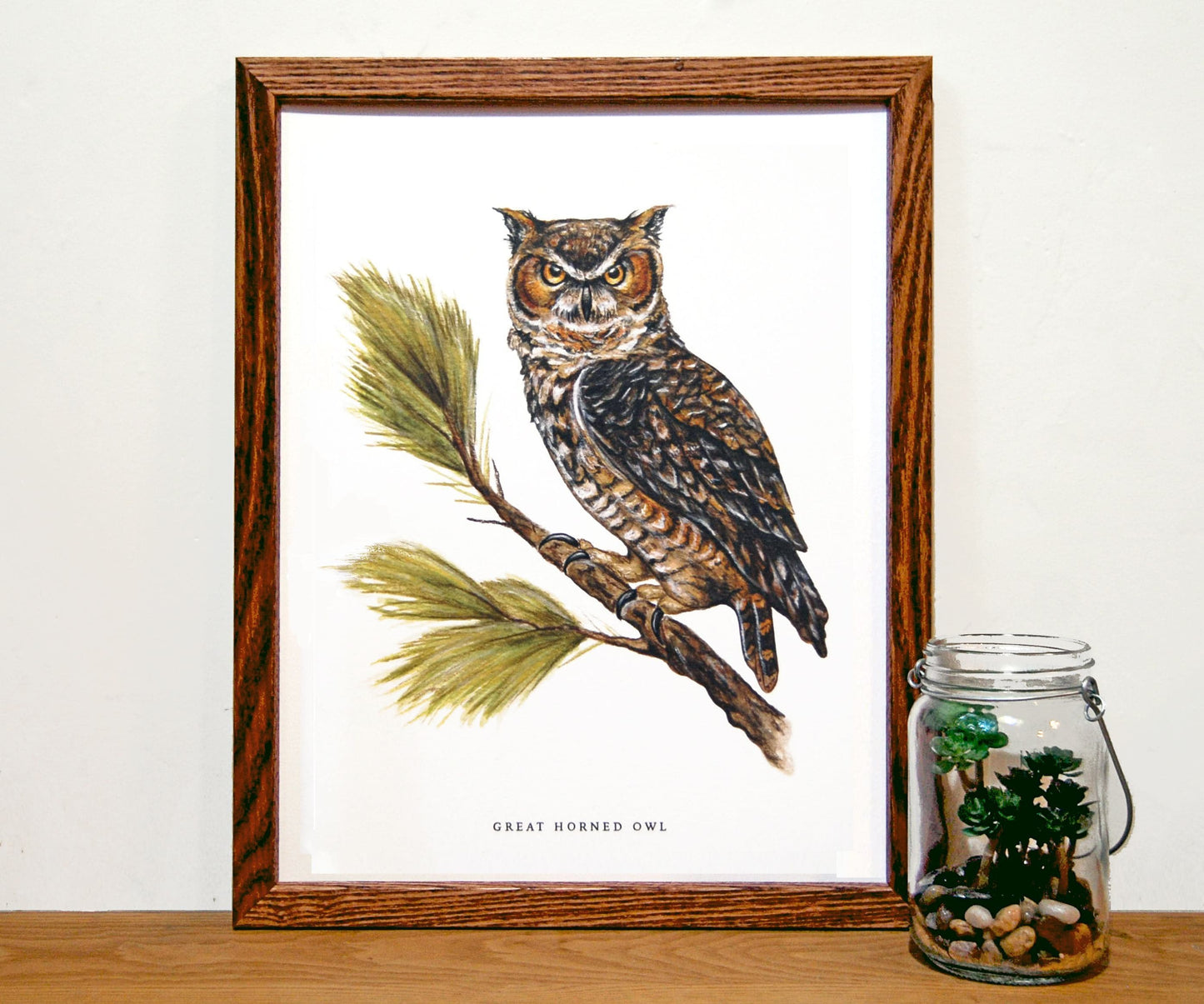 Great Horned Owl 11x14 Print