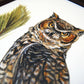 Great Horned Owl 11x14 Print