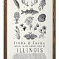 Illinois Field Guide Letterpress Print