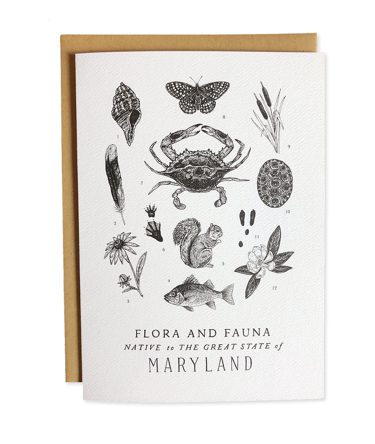 Maryland Field Guide Greeting Card