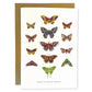 Moths of North America Greeting Card