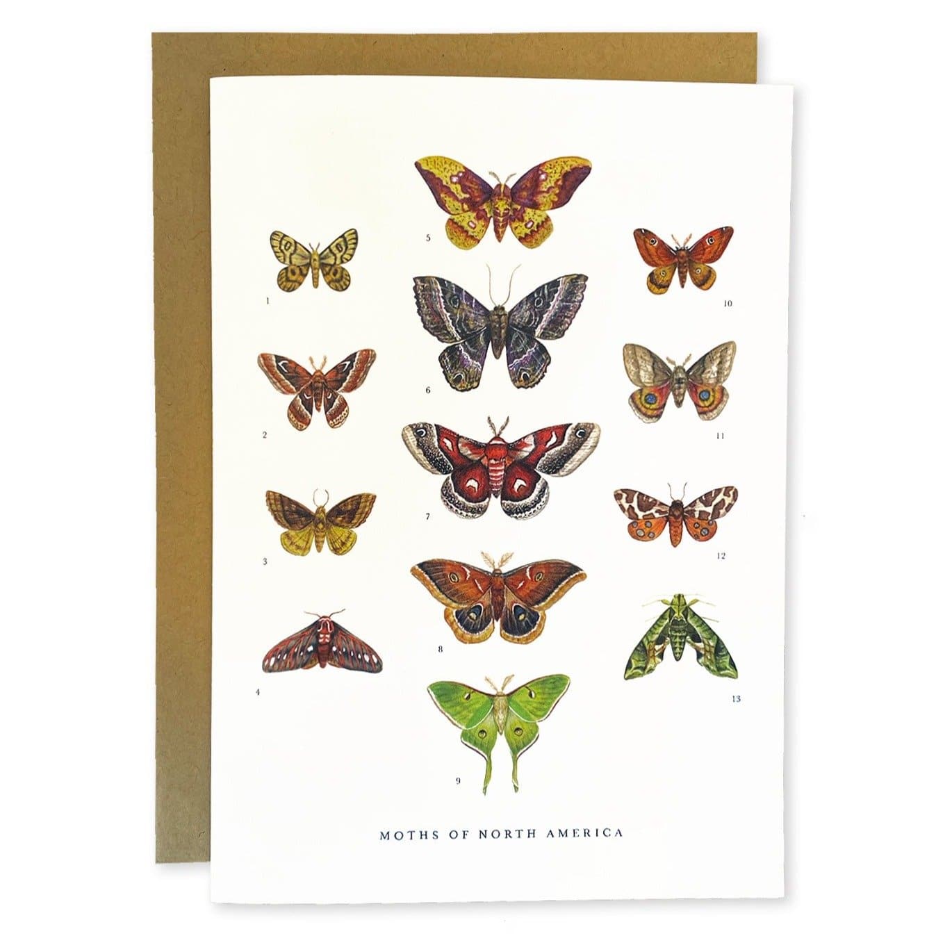 Moths of North America Greeting Card