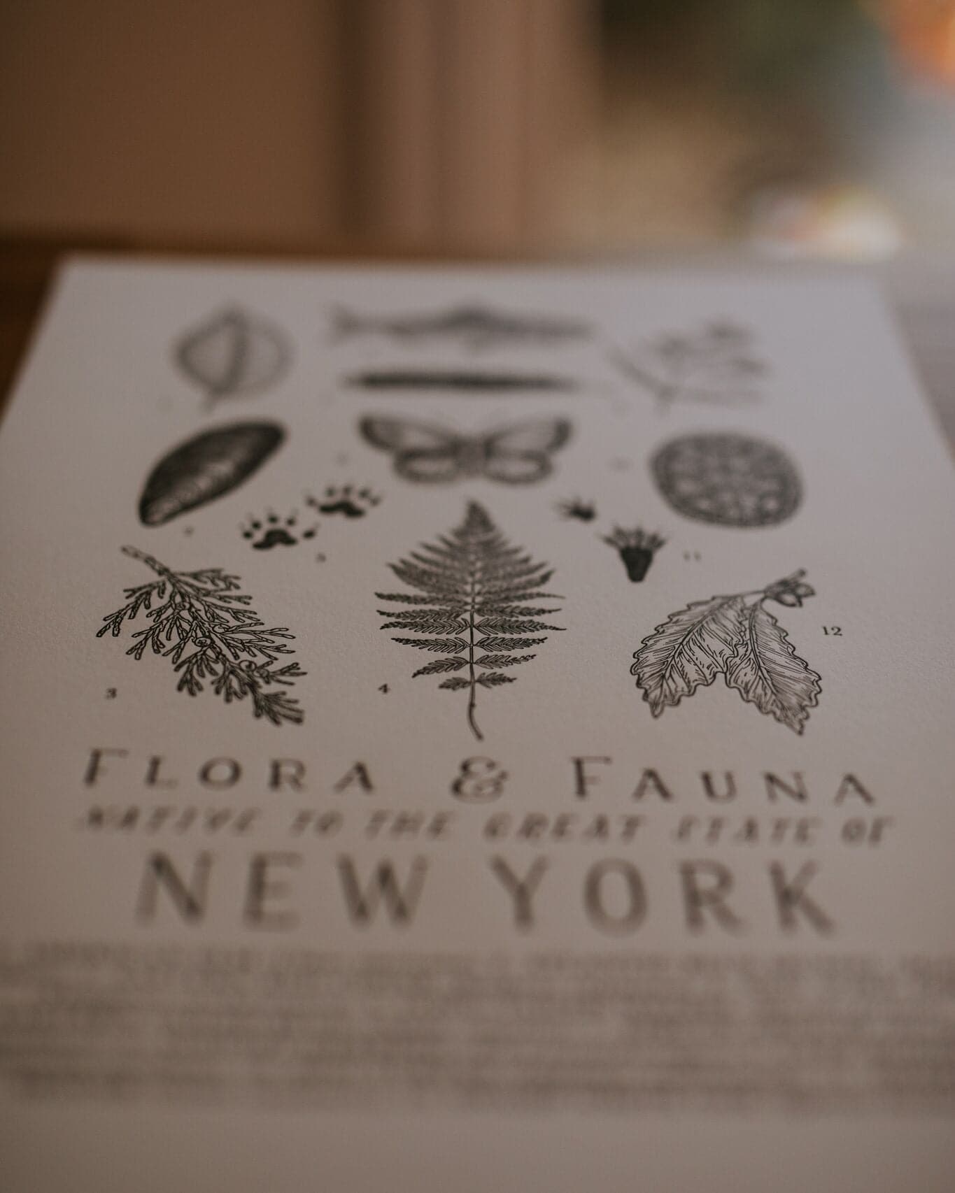 New York Field Guide Print