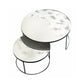 Nesting Coffee Table (Set of 2)