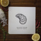 Atlantic Oyster Letterpress Print