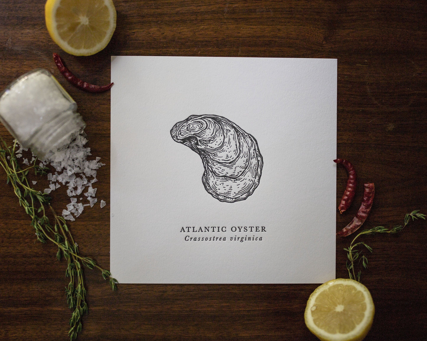 Atlantic Oyster Letterpress Print