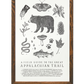 Appalachian Trail Field Guide Letterpress Print