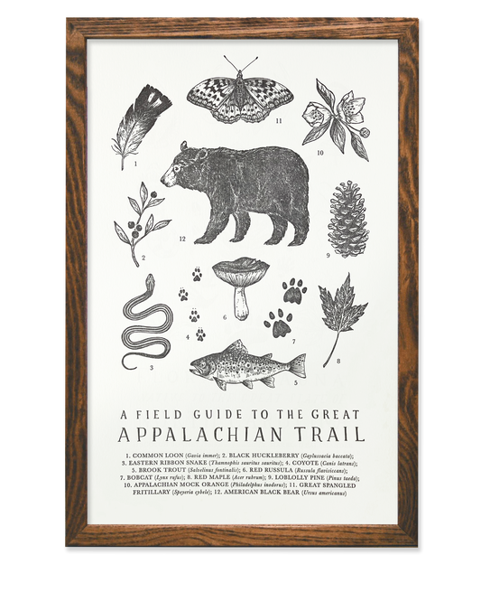 Appalachian Trail Field Guide Letterpress Print