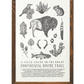 Continental Divide Trail Field Guide Letterpress Print