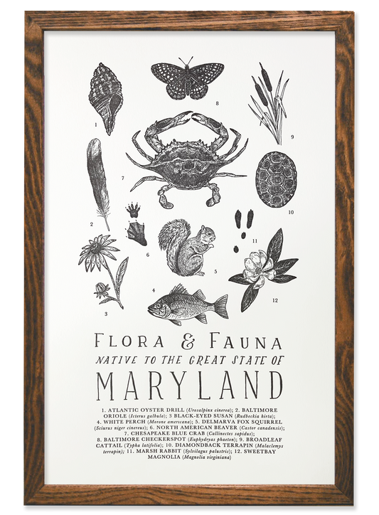 Maryland Field Guide Print