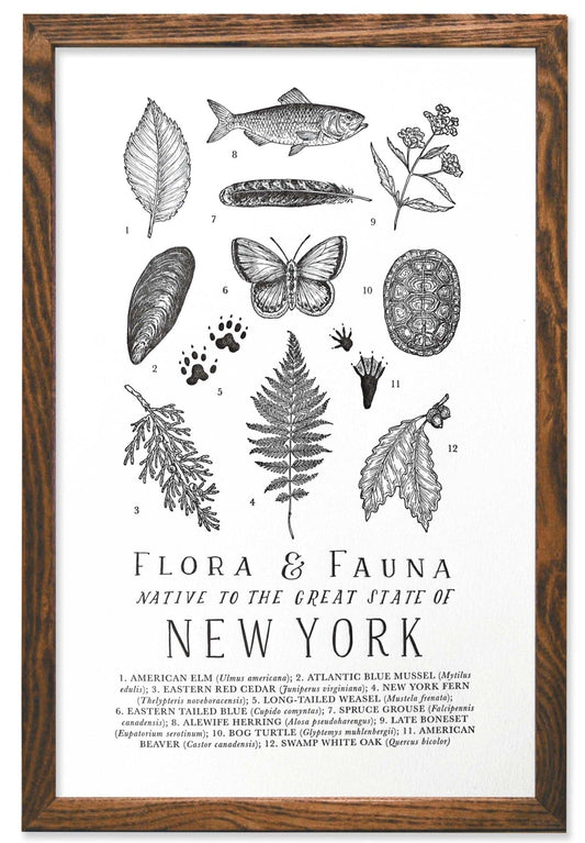 New York Field Guide Print