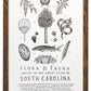 South Carolina Field Guide Print