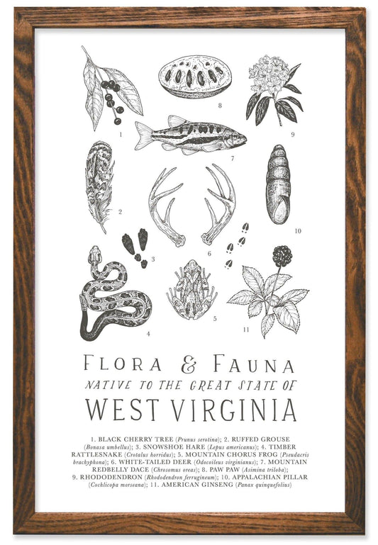 West Virginia Field Guide Print