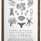 California Field Guide Letterpress Print