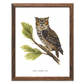 Great Horned Owl 11x14 Print