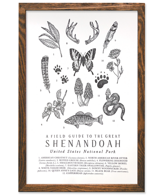 Shenandoah National Park Field Guide Letterpress Print