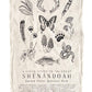 Field Guide to Shenandoah National Park Flour Sack Tea Towel
